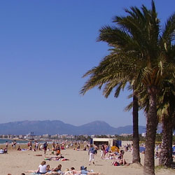 Playa-de Levante,-Salou. Unas palmeras, la playa, y al fondo las montañas y el cielo azul.