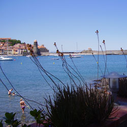 Vista del puerto de Collioure desde el restaurante de un hotel. Se ve parte de una mesa, el mar, y al fondo el castillo y el pueblo.