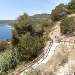 Imagen de la costa de Es-Cubells, en Ibiza. Se ve la rampa por la que se baja al mar, así como zona de monte verde, y algo de mar.