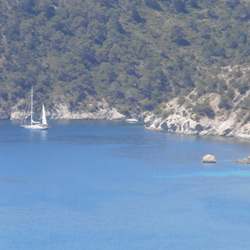 Imagen de la costa de Es-Cubells, en Ibiza. En la parte de arriba la costa con los pinos, y abajo el mar, con un barquito de vela.